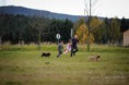 /album/vystavy-coursing-/a1391691-754535391229427-535214227-n-jpg/
