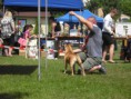/album/vystavy-coursing-/cimg4975-jpg/